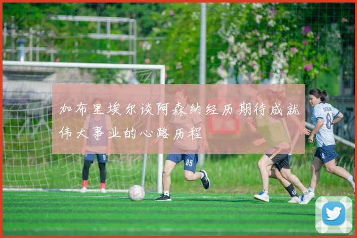 加布里埃尔谈阿森纳经历期待成就伟大事业的心路历程