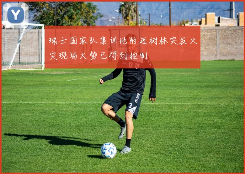 瑞士国家队集训地附近树林突发火灾现场火势已得到控制