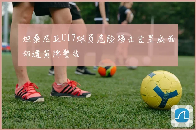 坦桑尼亚U17球员危险踢击金昱成面部遭黄牌警告